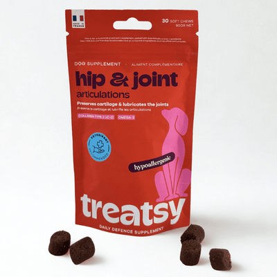 Treatsy Daily Defence Hip & Joint (90g) - Dapple