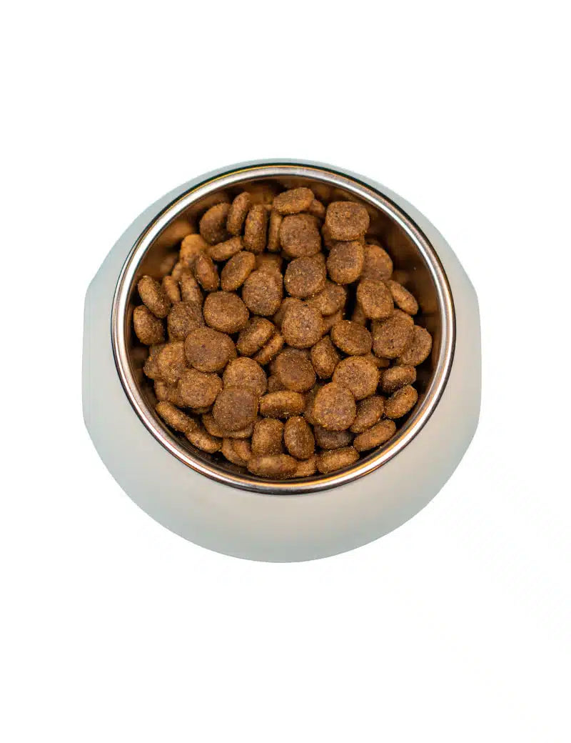 FourFriends Grain Free Lamb