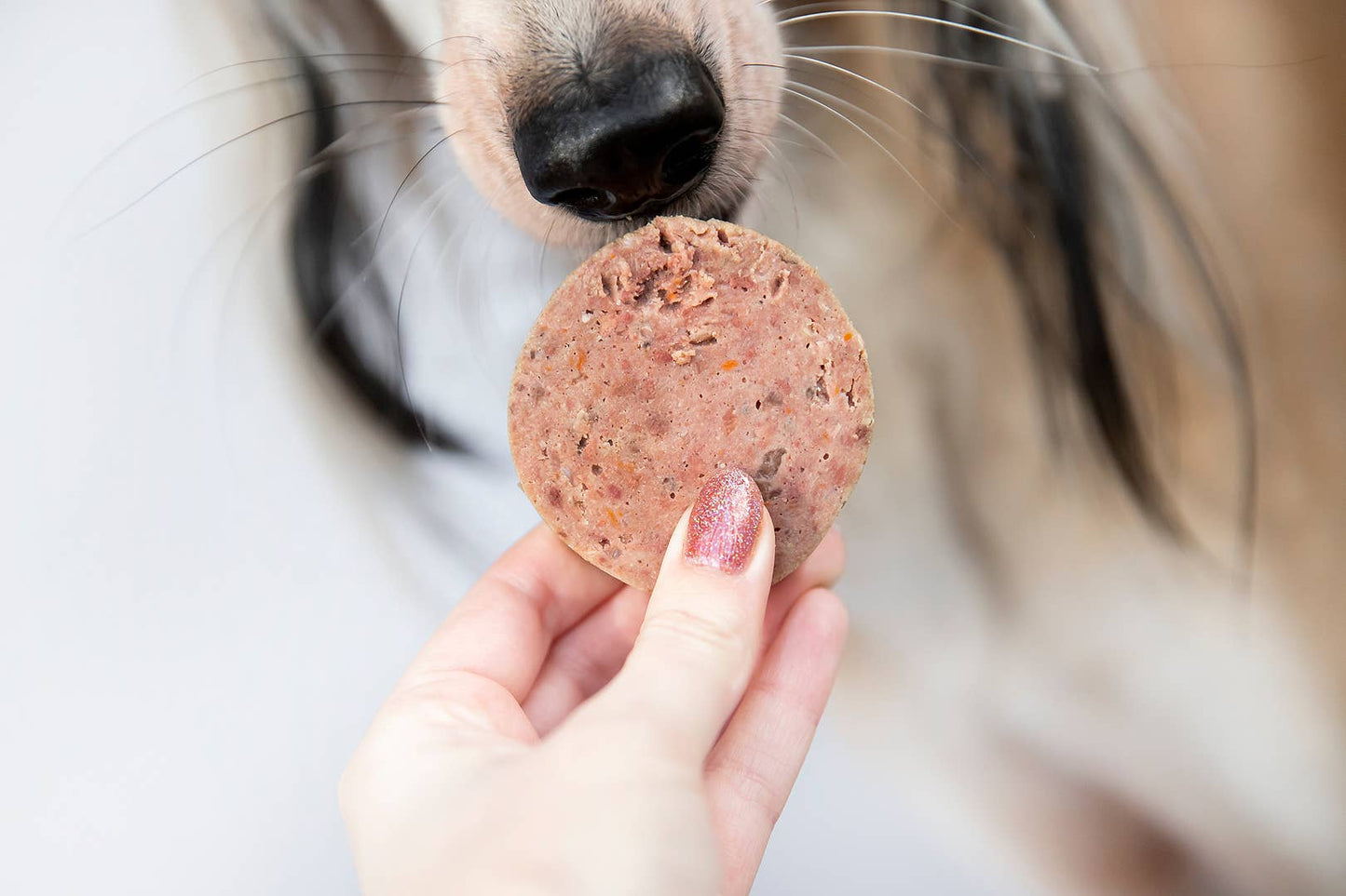 Kivo - Dampet Andekød til hund 600g
