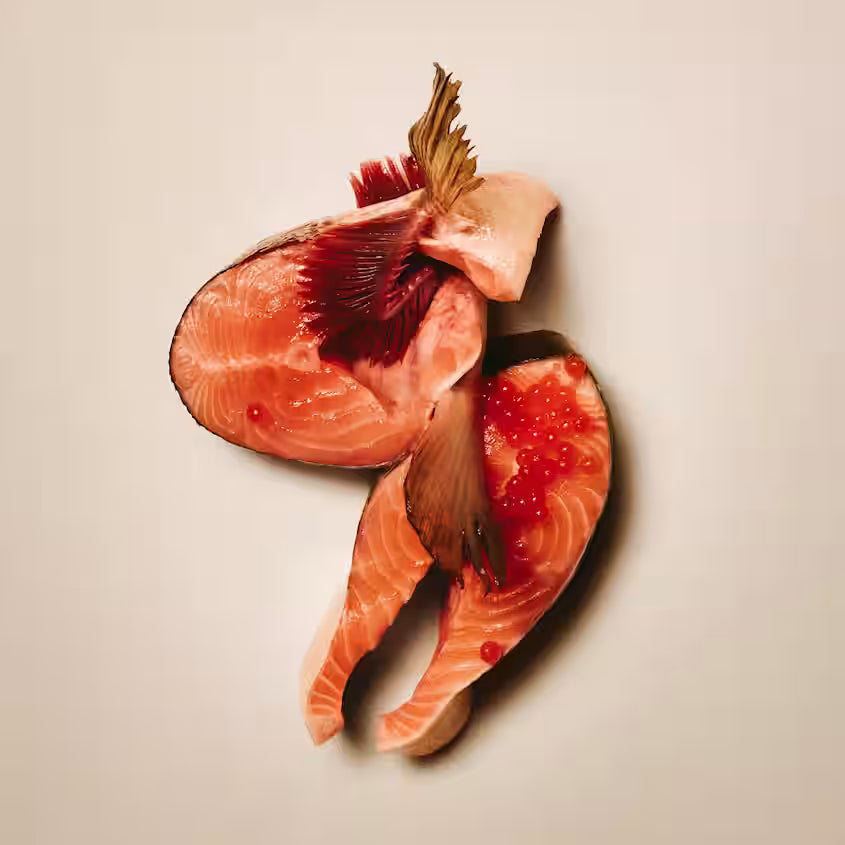 Carnilove Active Salmon & Turkey Adult All Breeds