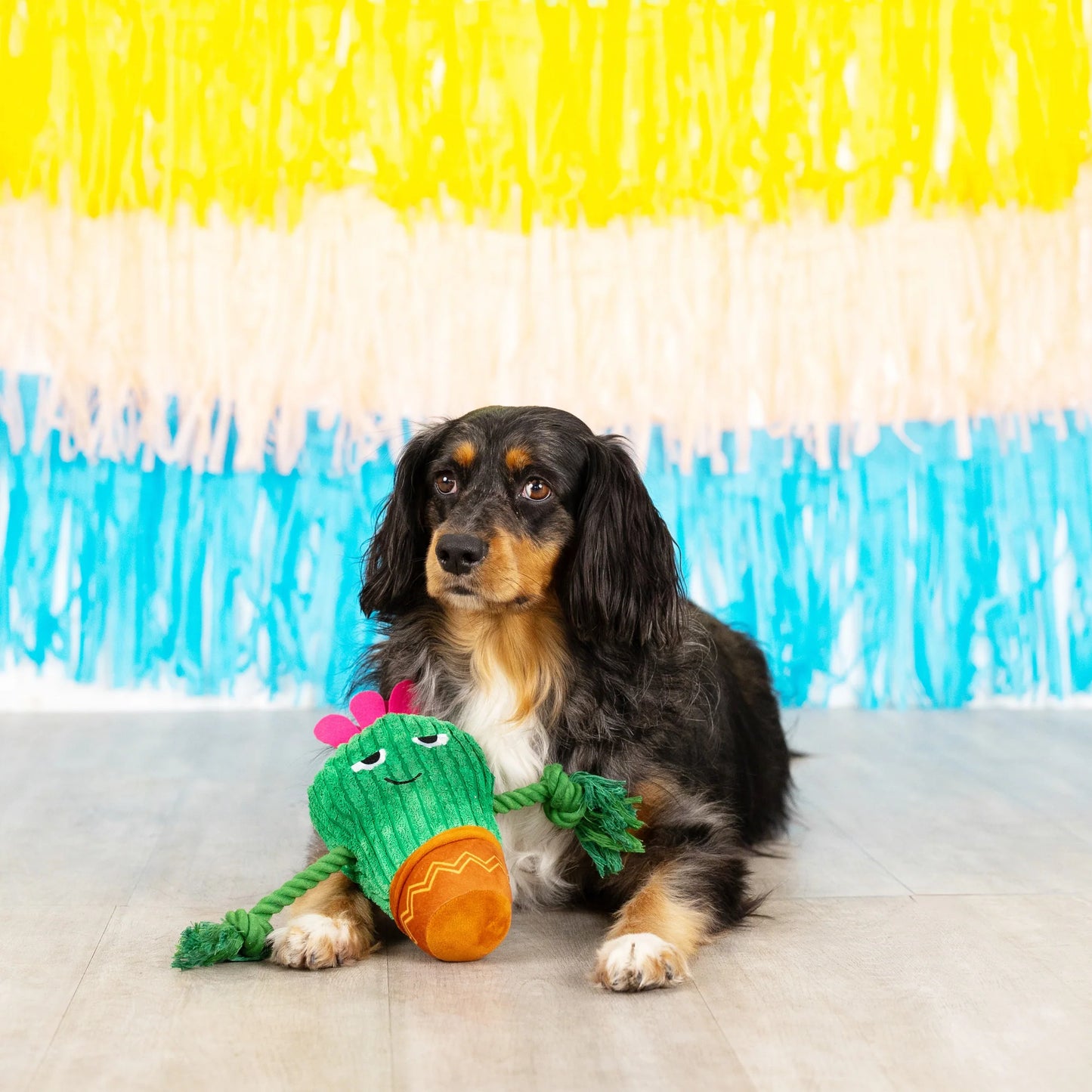 Fringe Kaktus pivelegetøj - You Grow Chica! - Dapple