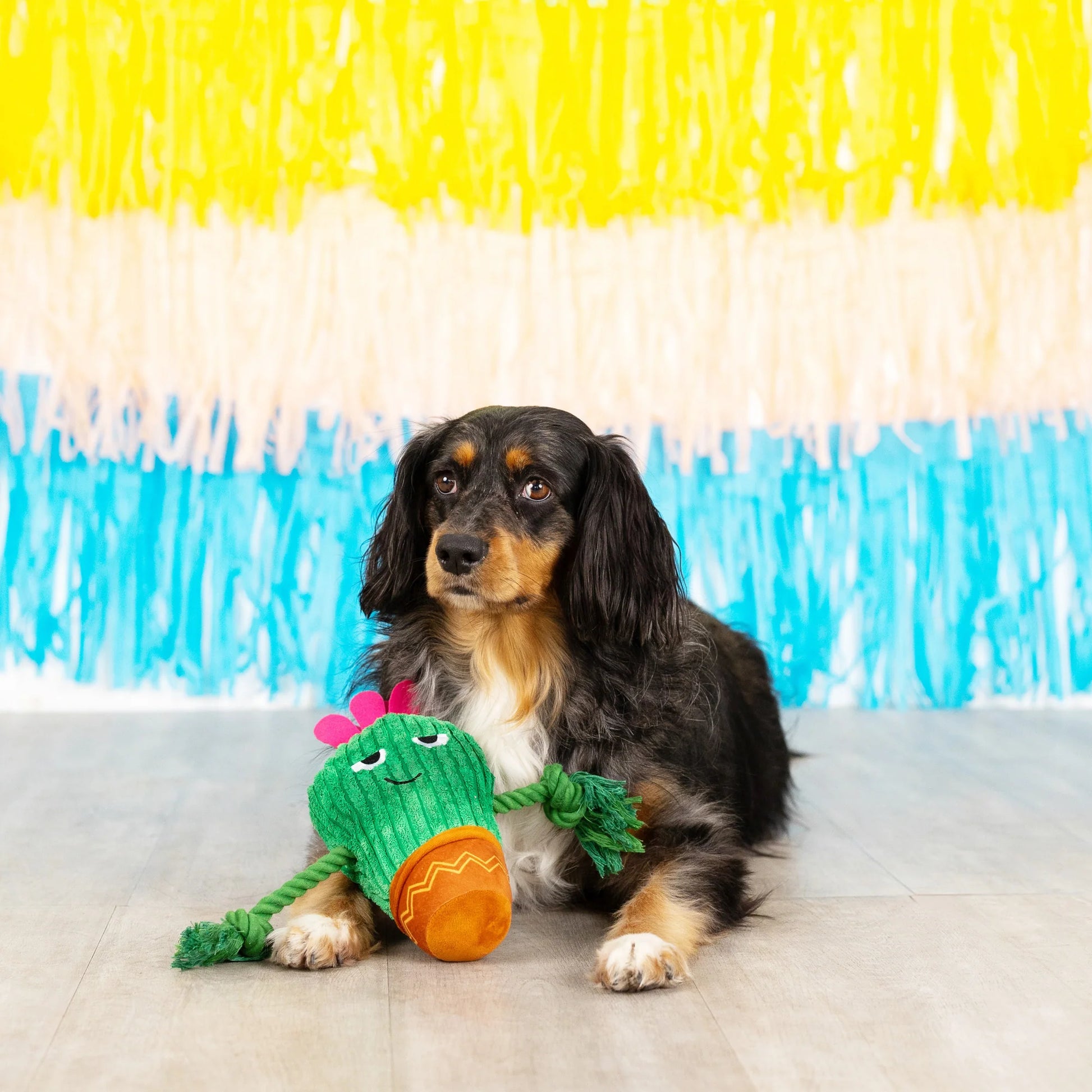 Fringe Kaktus pivelegetøj - You Grow Chica! - Dapple