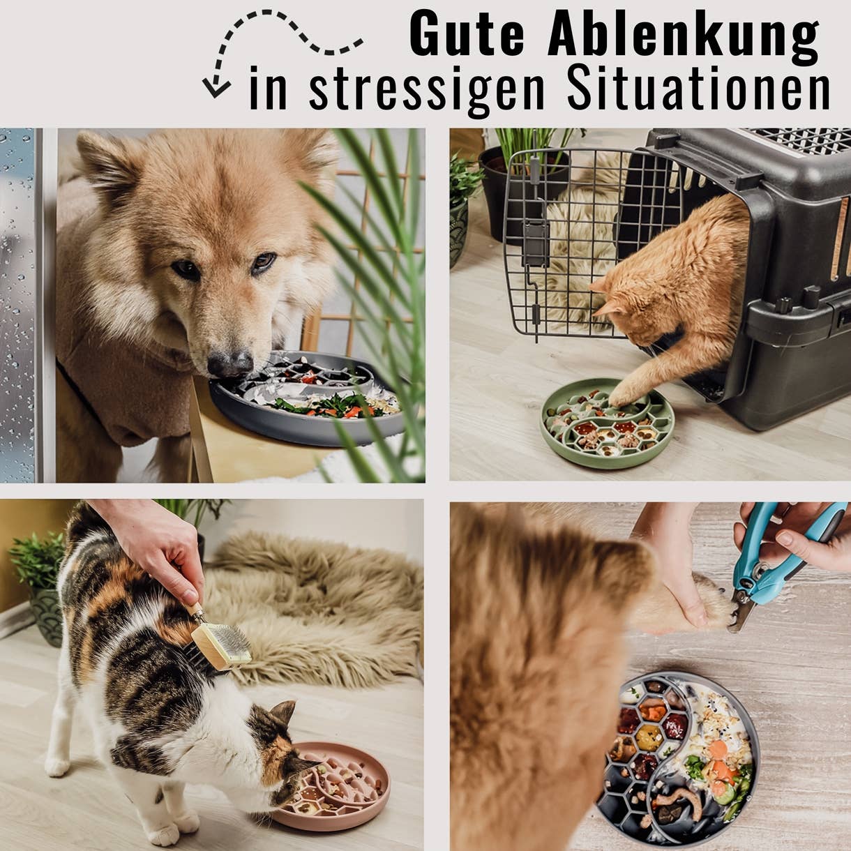 Ne&No® Slow Feeder Hundeskål & Slikkemåtte - Anti-Slug Skål til Hunde og Katte
