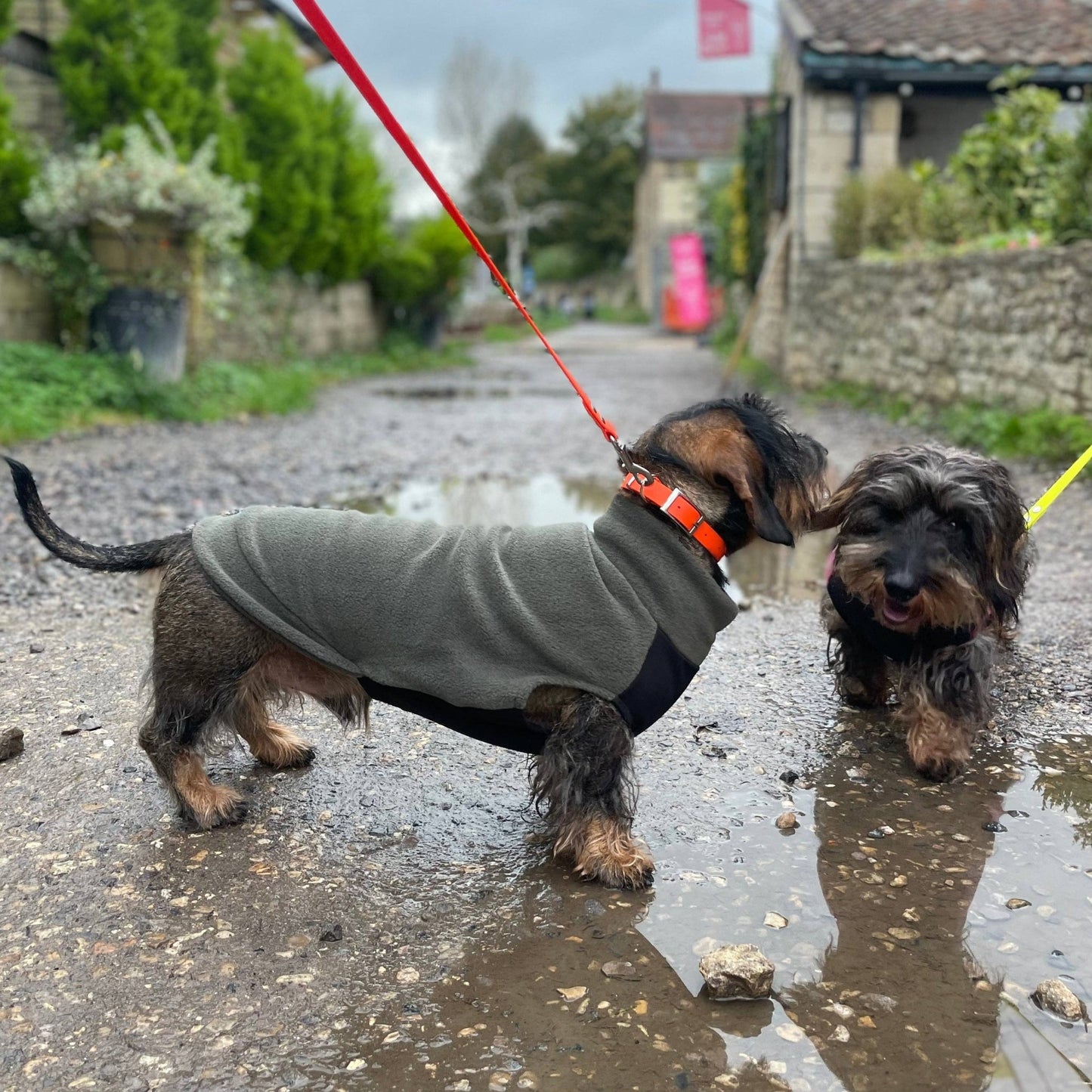 Standard Gravhund Fleece Trøje m. vandtæt mavepanel - Dapple