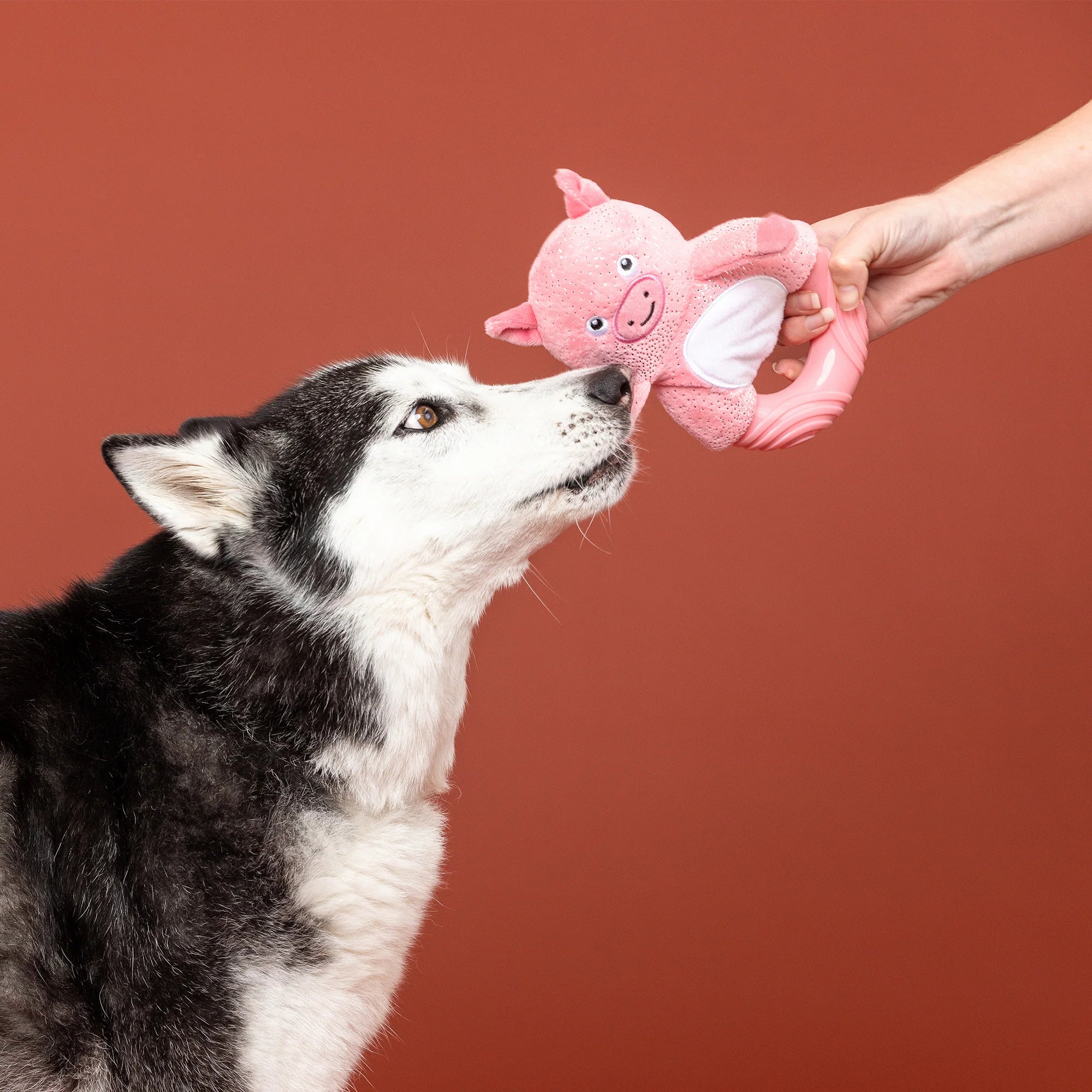 Fringe Gris tyggelegetøj - Get piggy with it - Dapple