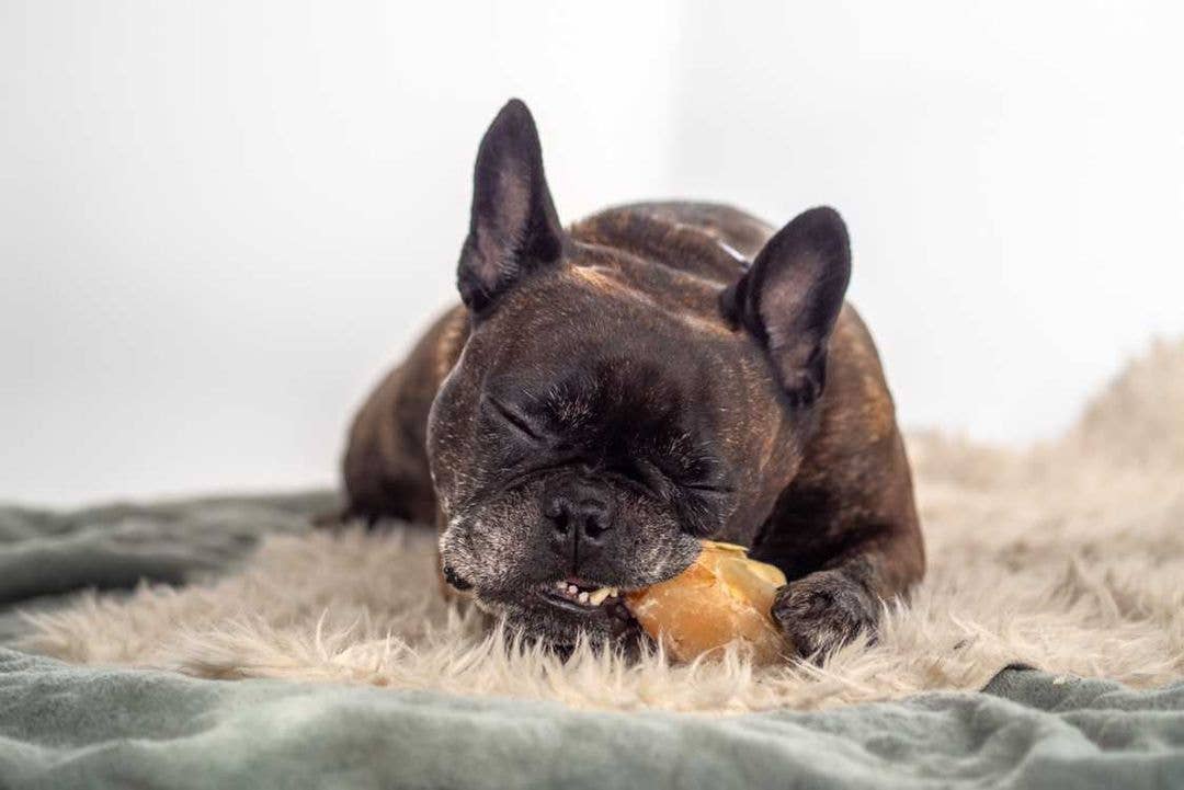 Kivo Kalvklöv till Hund - 10 st 750g
