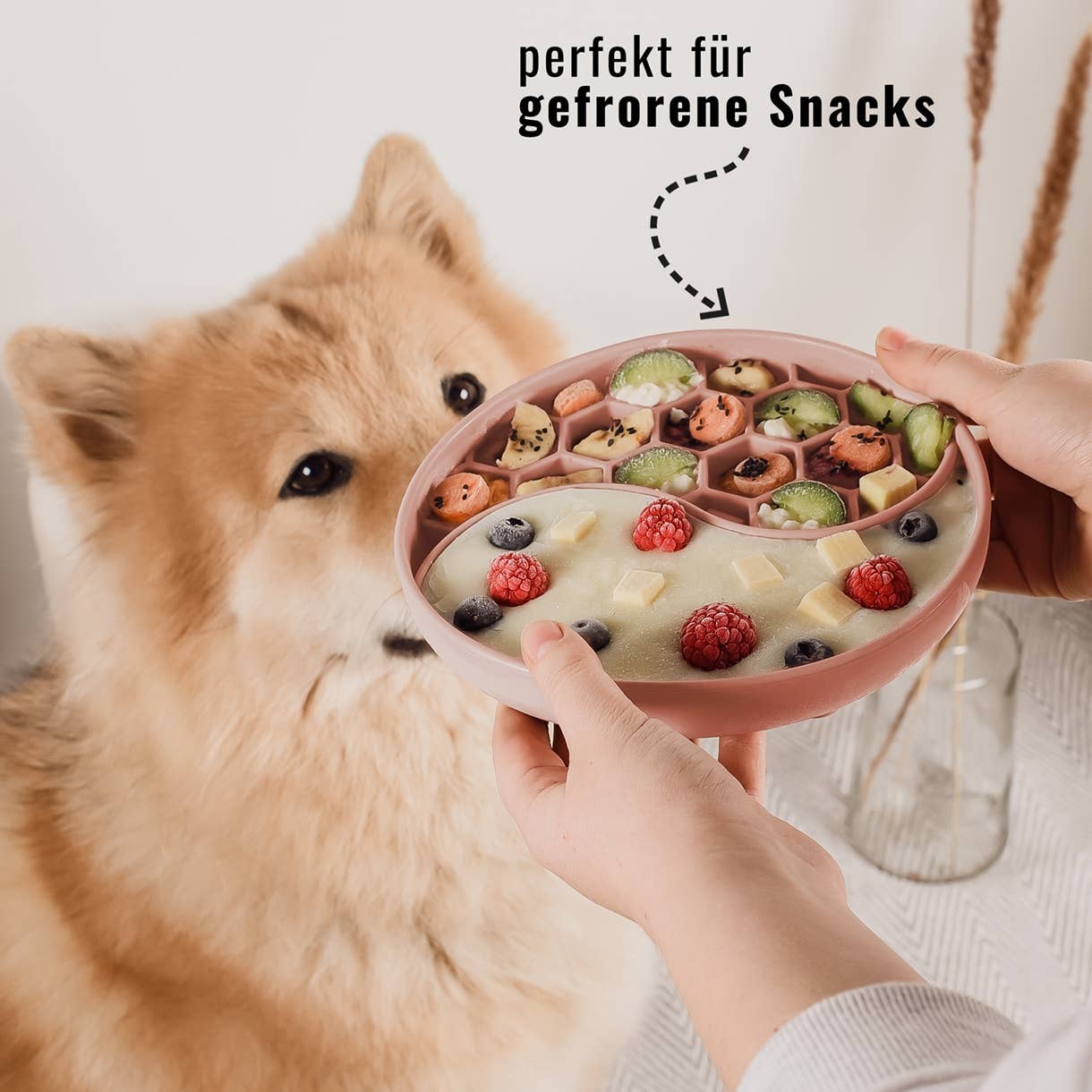 Ne&No® Slow Feeder Hundeskål & Slikkemåtte - Anti-Slug Skål til Hunde og Katte