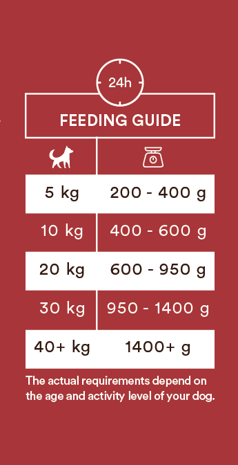 Monster Vådfoder Single Protein Beef 400g