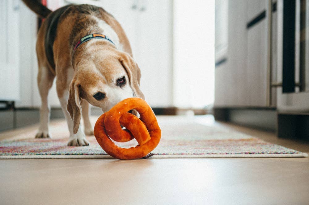 P.L.A.Y. Poochie Pretzel Pivelegetøj