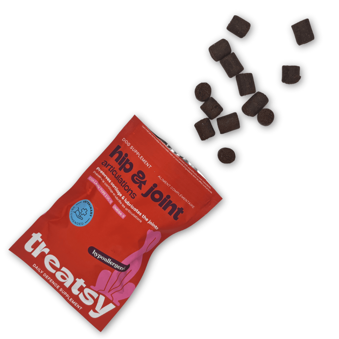 Treatsy Daily Defence Hip & Joint (90g) - Dapple