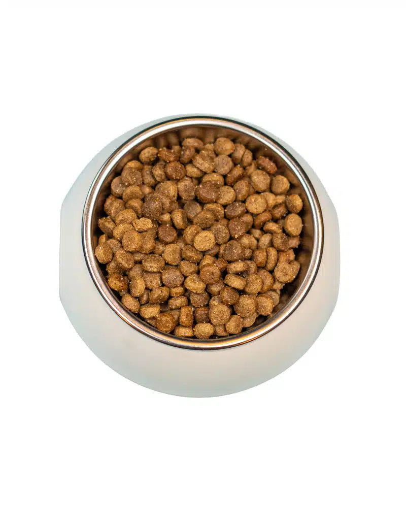 FourFriends Puppy Lamb & Rice