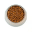 FourFriends Small Breed Adult Salmon