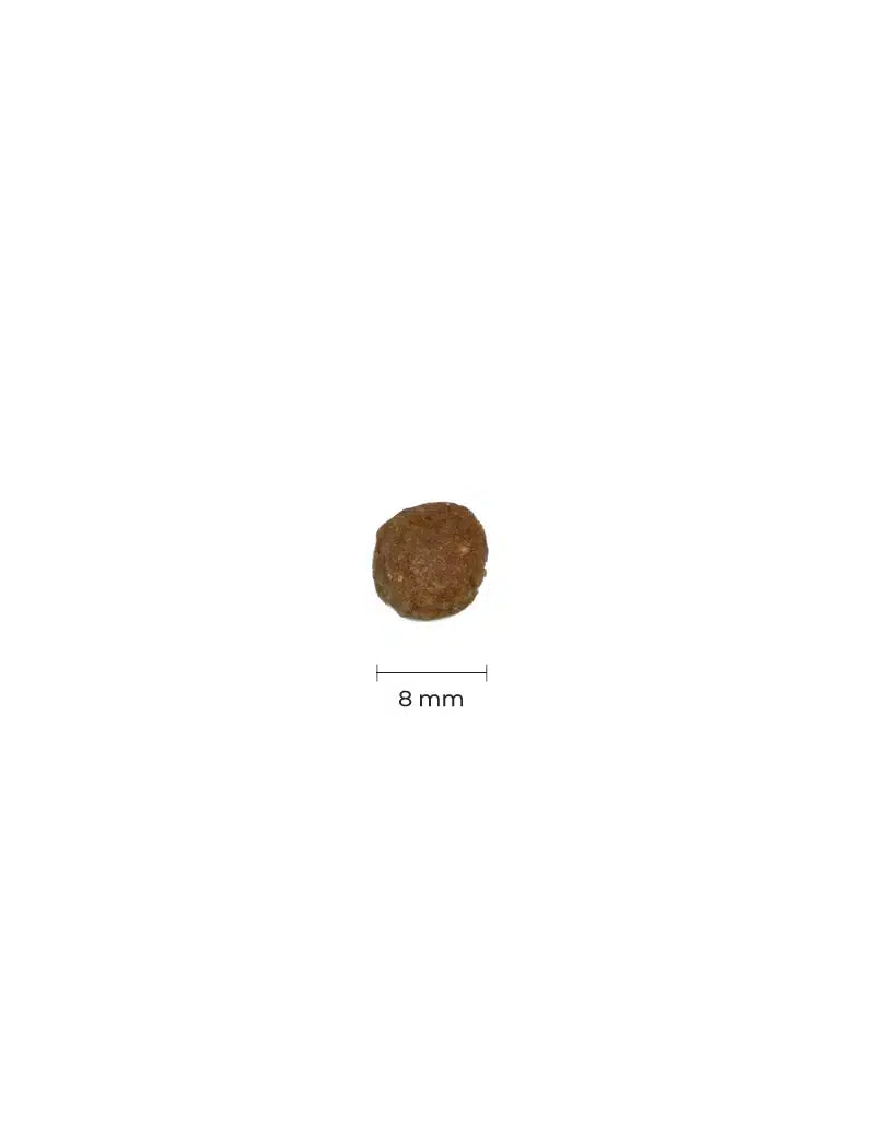 FourFriends Small Breed Adult Venison