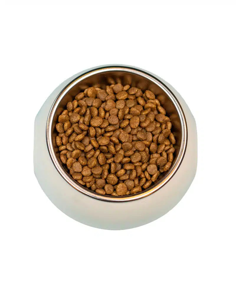FourFriends Small Breed Adult Venison