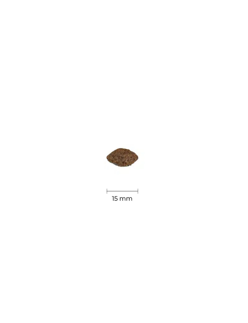 FourFriends Grain Free Venison