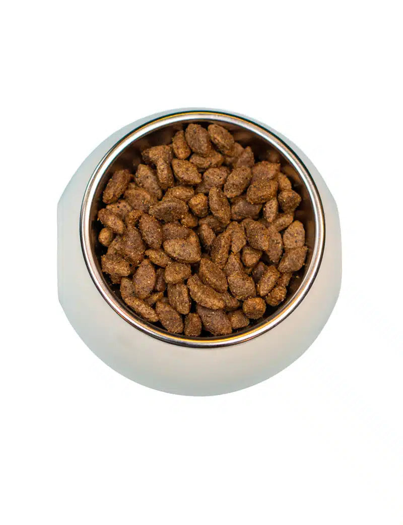 FourFriends Grain Free Venison