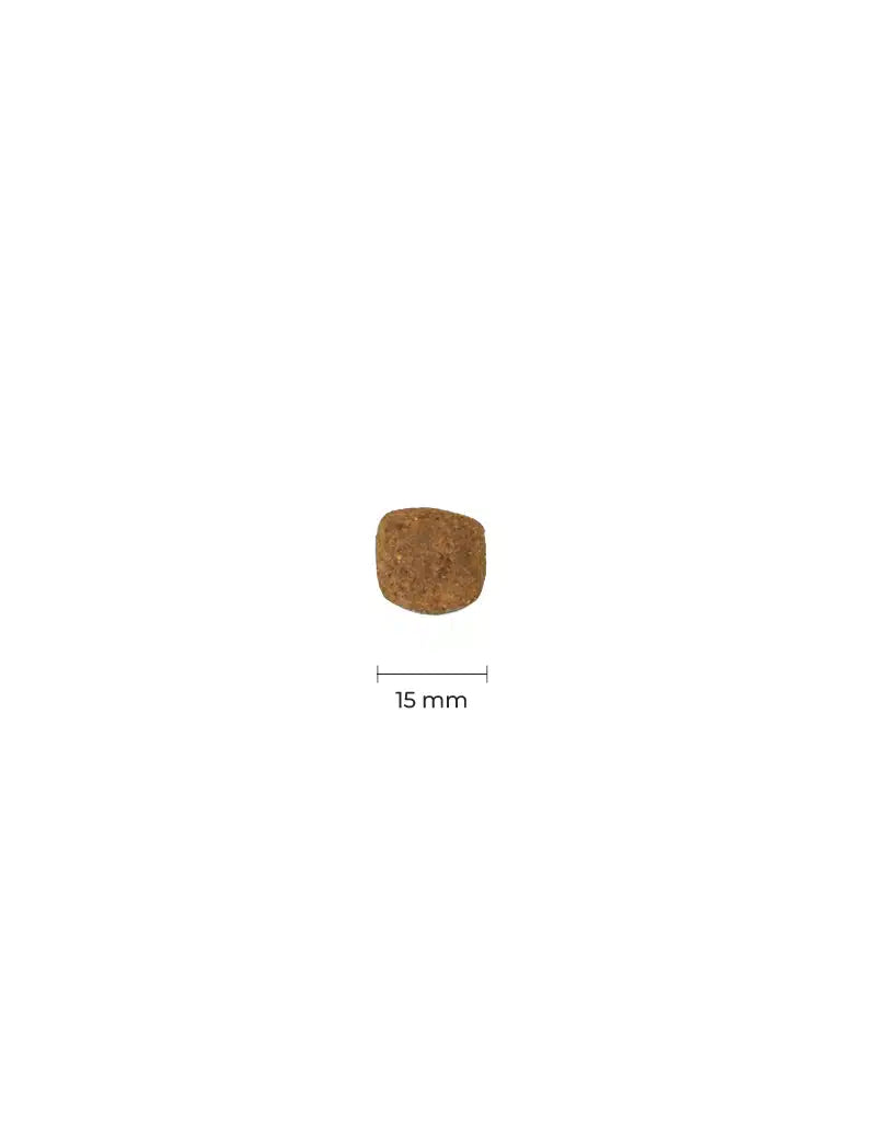 FourFriends Grain Free Wild Boar
