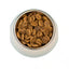 FourFriends Grain Free Wild Boar