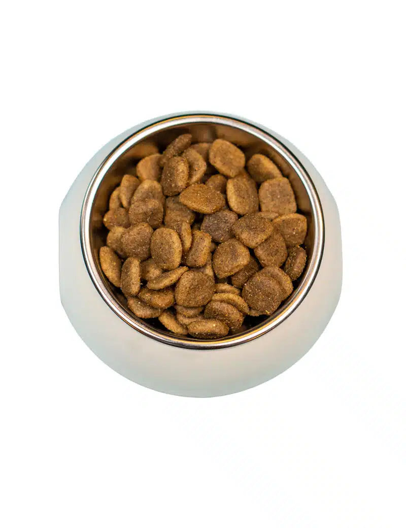 FourFriends Grain Free Wild Boar
