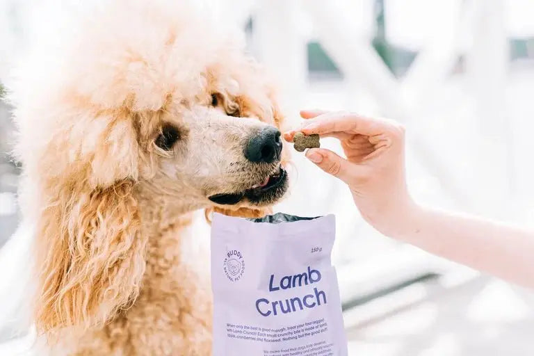 Buddy Crunchy Snack - Lam med tranebær 150 g - Dapple