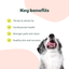Buddy Lakseolie - 500ml - Dapple