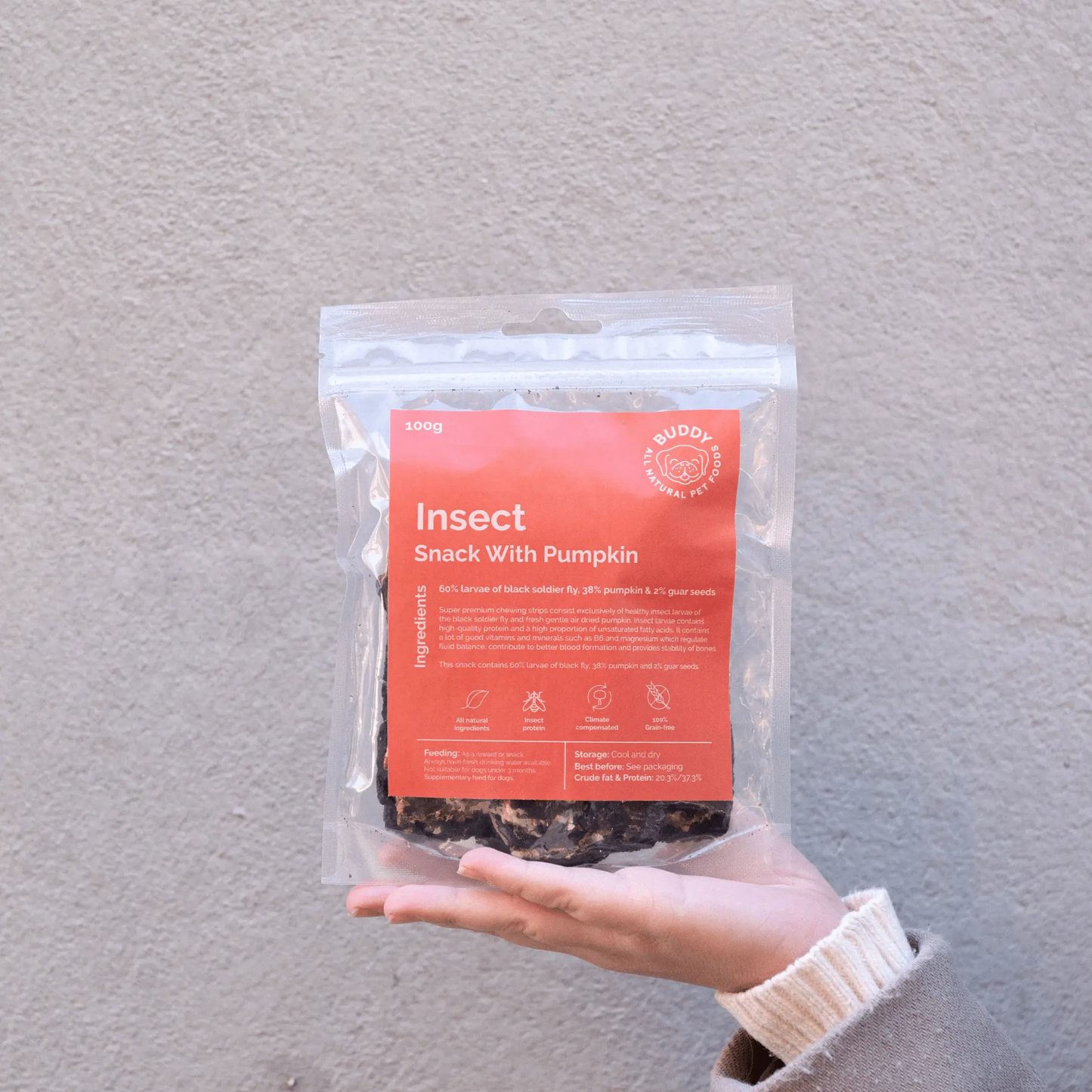 Buddy No - meat filets - Insekter & græskar 100g - Dapple