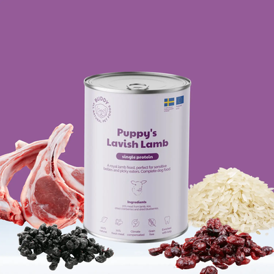 Buddy Vådfoder - Hvalp Lavish Lamb 400g - Dapple