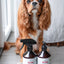 Protected Hund - Mod Flåter, Lopper og Fluer 500ml