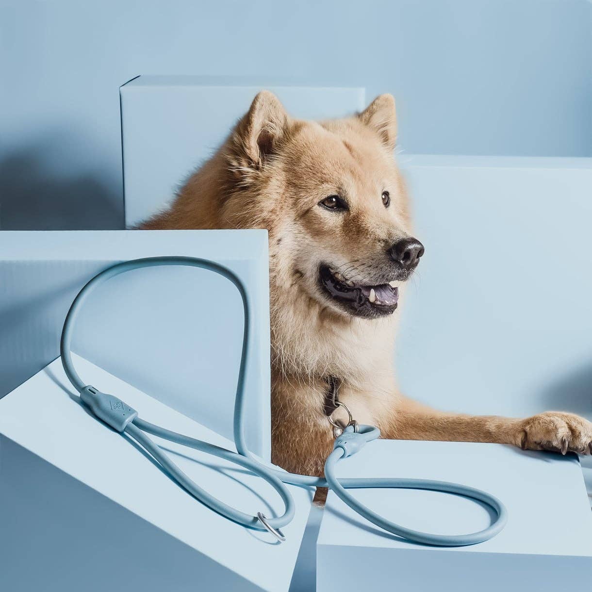 Ne&No® Hundesnor i PVC 150 cm - Vejrbestandig, Vandafvisende og Nem at Rengøre