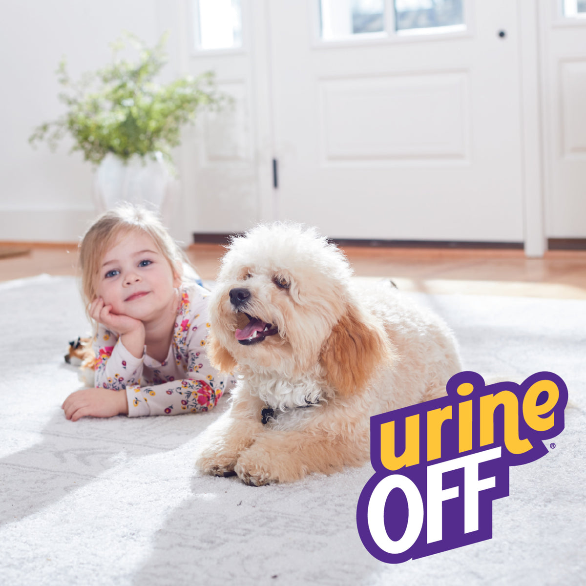 Urine Off Dog & Puppy Formula - Urin- og Lugtfjerner