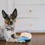 P.L.A.Y Fluffles Chips pivelegetøj - Dapple