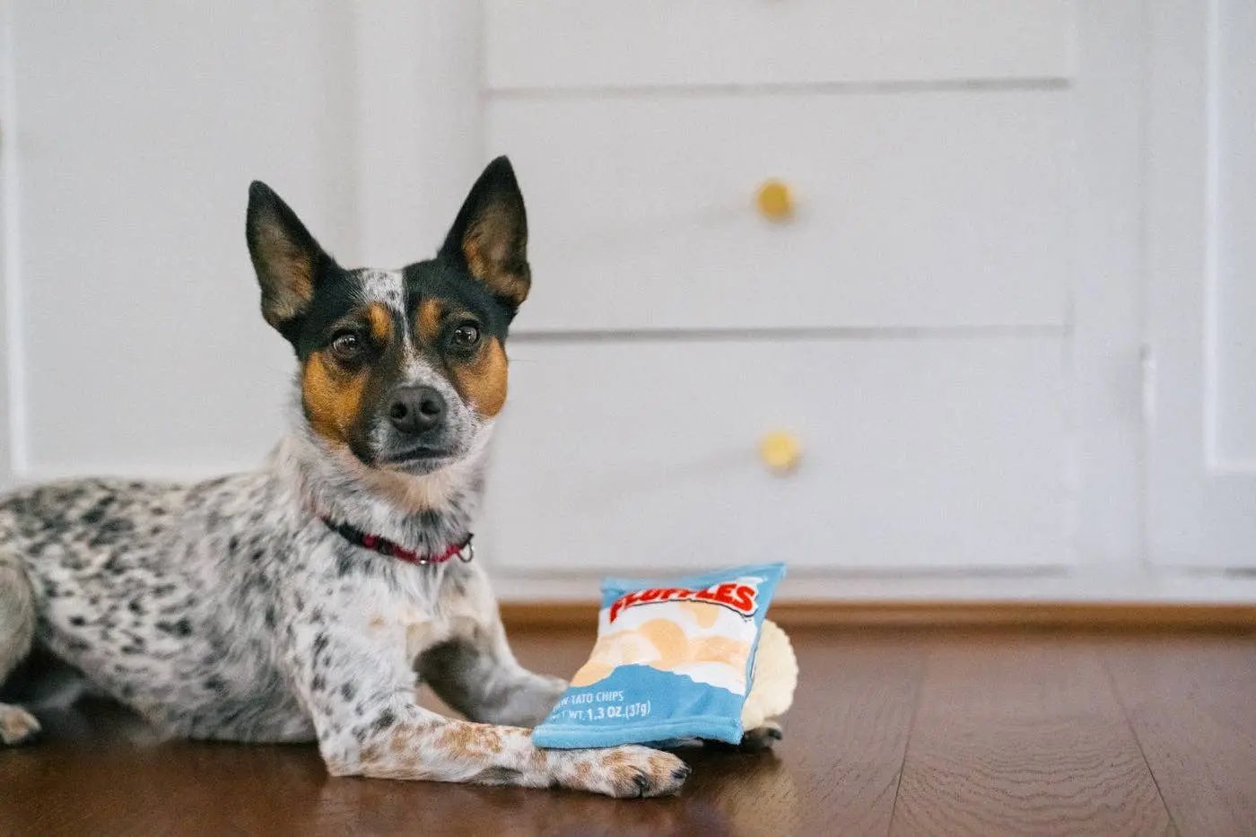 P.L.A.Y Fluffles Chips pivelegetøj - Dapple